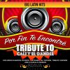 Download track Por Fin Te Encontré (Tribute To Cali Y El Dandee) (Acapella)