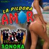 Download track El Palacio Del Porro