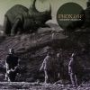 Download track Dinosaur Bones