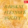 Download track Sonata For Flute And Continuo In B Minor, TWV 41: H4: IV. Allegro