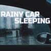 Download track Relaxing Rainy Car Sound