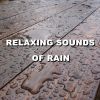 Download track Excellent Afternoon Rain Sounds