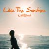 Download track Like The Sunshine (Radio Edit)