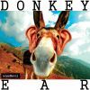 Download track We Aint Monkeys (Original Mix)