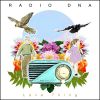 Download track Radio DNA