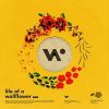 Download track Wallflower