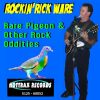 Download track Rare Pigeon