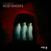 Download track Acid Ghosts (Spasmik Breaks Remix)