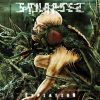 Download track The Curse Of Extinction