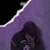 Download track Papo De Fake (Slowed)