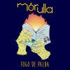 Download track Fogo De Palha