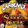 Download track Mix Caribe De Lyla Y Su Perla Del Mar: Tonto Corazón / Que Mala Jugada / El Amor Que Yo Quiero