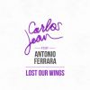 Download track Lost Our Wings