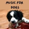 Download track Calm Pet Music