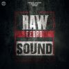 Download track Raw Sound