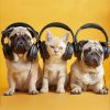 Download track Soothing Pets Melody