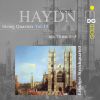 Download track String Quartet Nr. 72 In C Major, Op. 74 No. 1 Hob. III: 72: IV. Finale - Vivace