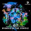 Download track Rumble In The Jungle (DJ E-Maxx Remix Extended)