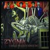 Download track Zygmita