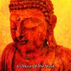 Download track Buddhist State Of Mind