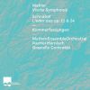 Download track Symphonie No. 4: II. In Gemächlicher Bewegung, Ohne Hast