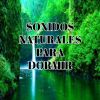 Download track Naturaleza