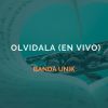 Download track Olvidala (En Vivo)