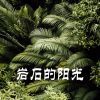 Download track 未来的碎片