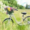 Download track Scenery Of Bicycle-Riding