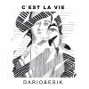 Download track C'est La Vie