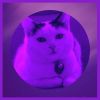 Download track Scintillating Friendly Cats