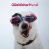 Download track Hundeträume