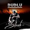 Download track Dudlu