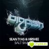 Download track Salt Shaker (Original Mix)