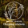 Download track Crickets Night Forest Swamp