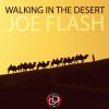 Download track Walking In'the Desert (Original Mix)