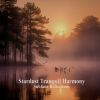 Download track Songs Of Serenity