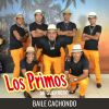 Download track El Cangrejito Playero