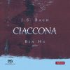 Download track Chaconne, From The Partita BWV 1004