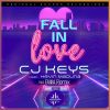 Download track Fall In Love (Fawa Sunday Remix)