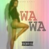 Download track Sel Wa