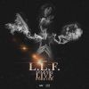 Download track Intro (L. L. F)