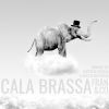 Download track Cala Brassa (Rocco Dolffredi Remix)