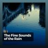 Download track Rain Sounds For Life