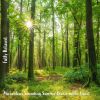 Download track Miraculous Sounding Summer Breeze In The Forest, Pt. 16