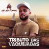 Download track Culpa Da Vaqueira