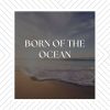 Download track Under The Ocean