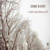 Download track A Well Faded Memory