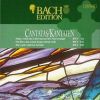 Download track Sehet, Welch Eine Liebe Hat Uns Der Vater Erzeiget BWV 64 - III Recitativo (Alto)
