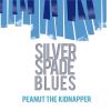 Download track Silver Spade Blues